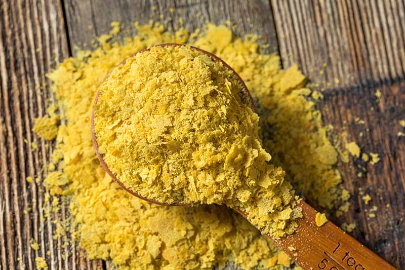 What in the World is Nutritional Yeast?